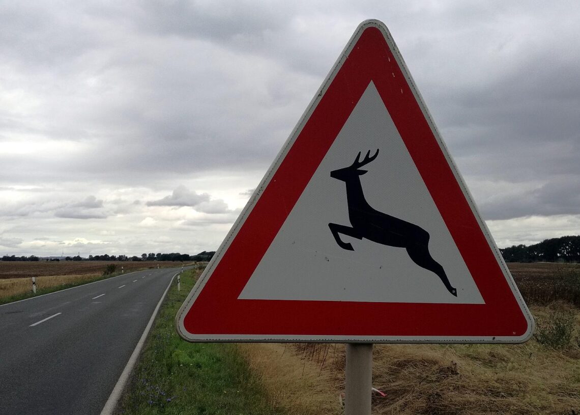 Warnschild vor Wildwechsel (Archiv)