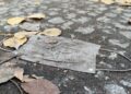 Weggeworfener Mund-Nasen-Schutz im Herbst (Archiv)