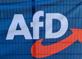 Logo vor AfD-Parteitag (Archiv)