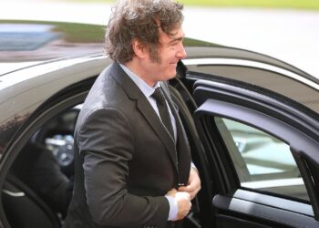 Regierung will frühere Milei-Kritik von Merz nicht kommentieren 2 Javier Milei (Archiv)