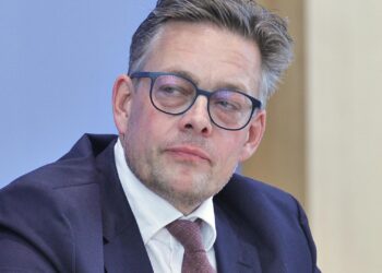 Konstantin von Notz (Archiv)