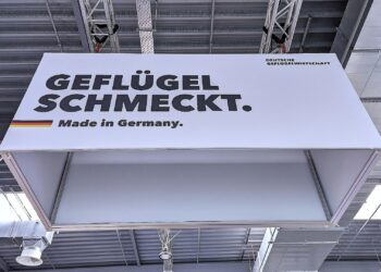 Vogelgrippe: Verband schließt Versorgungsengpässe nicht aus 2 Deutsche Geflügelwirtschaft (Archiv)