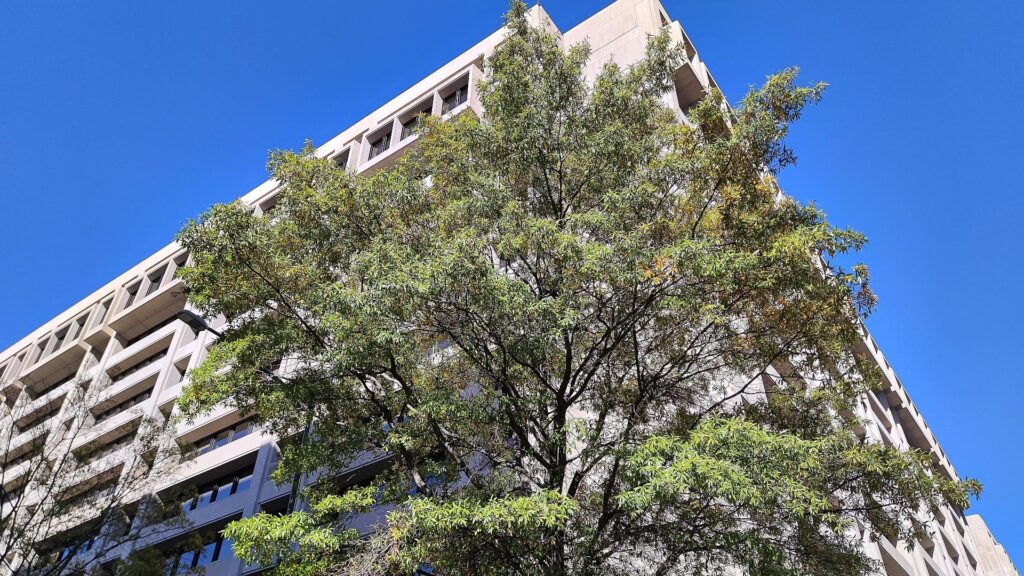 Internationaler Währungsfonds (Archiv)