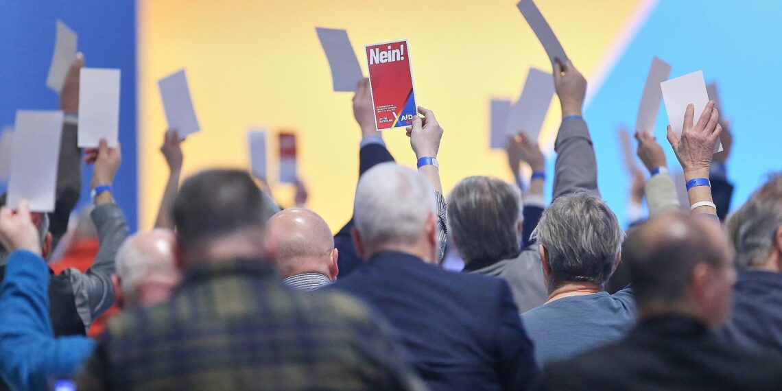 Abstimmung auf AfD-Parteitag (Archiv)