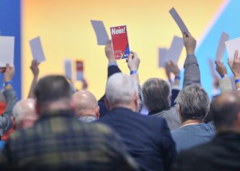 Abstimmung auf AfD-Parteitag (Archiv)
