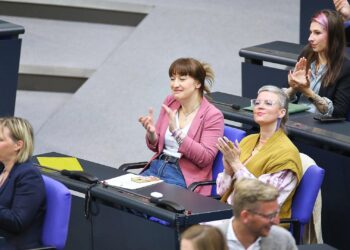 Linke-Bundestagsfraktion (Archiv)