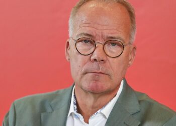 Matthias Miersch (Archiv)