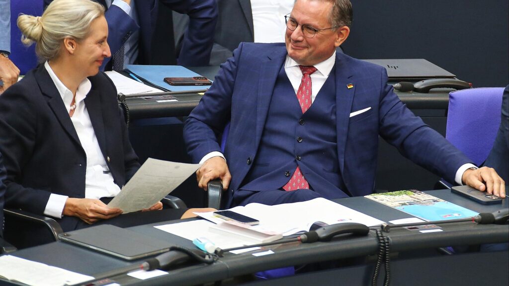 Alice Weidel und Tino Chrupalla (Archiv)
