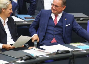 Alice Weidel und Tino Chrupalla (Archiv)