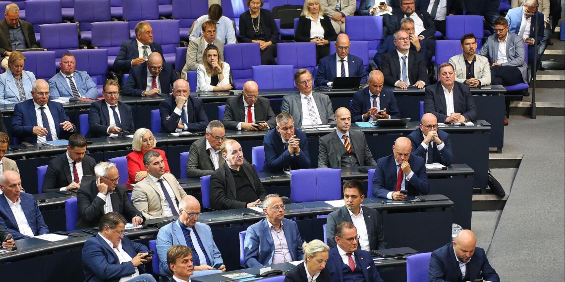 AfD-Bundestagsfraktion (Archiv)
