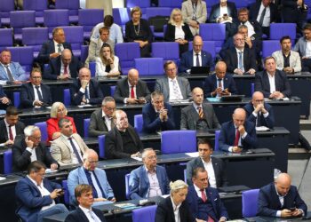 AfD-Bundestagsfraktion (Archiv)
