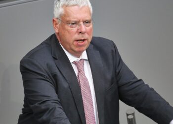 Jürgen Hardt (Archiv)