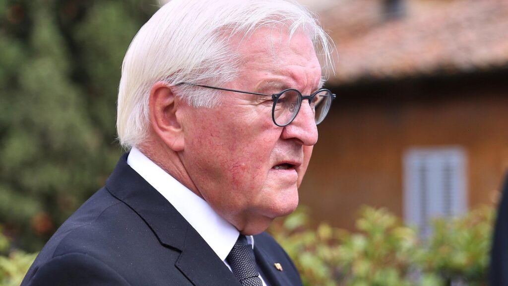 Frank-Walter Steinmeier (Archiv)