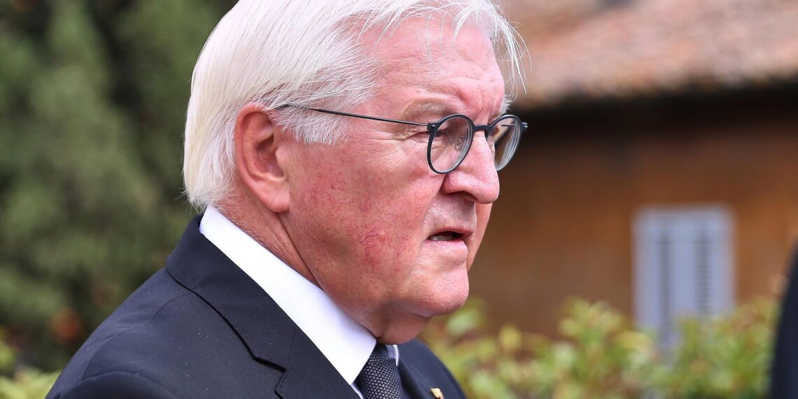 Frank-Walter Steinmeier (Archiv)