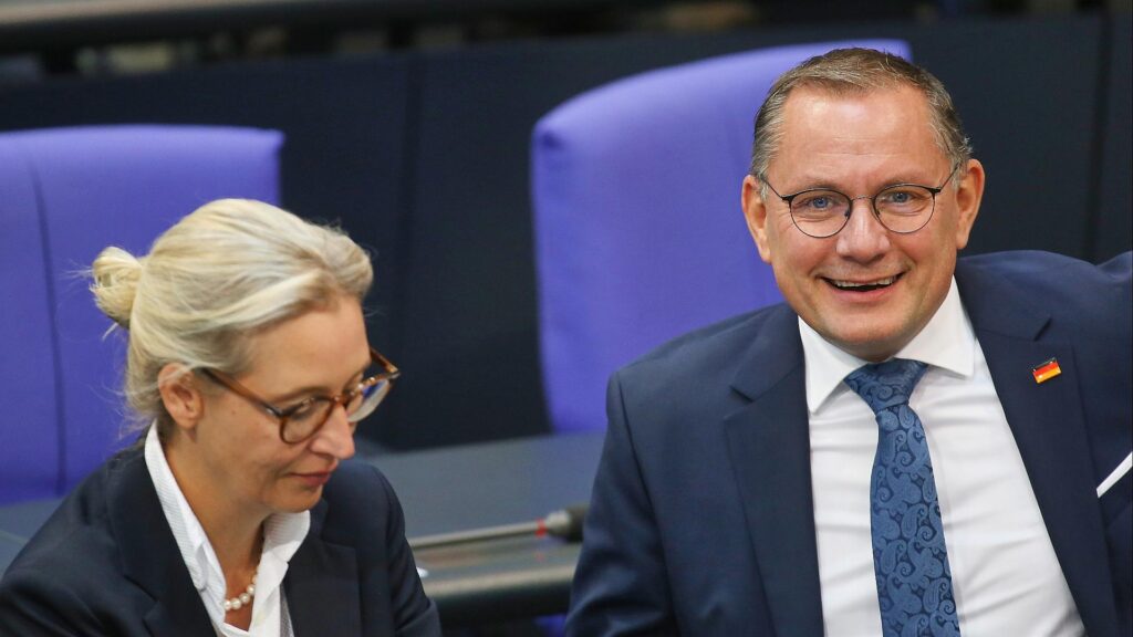 Alice Weidel und Tino Chrupalla (Archiv)