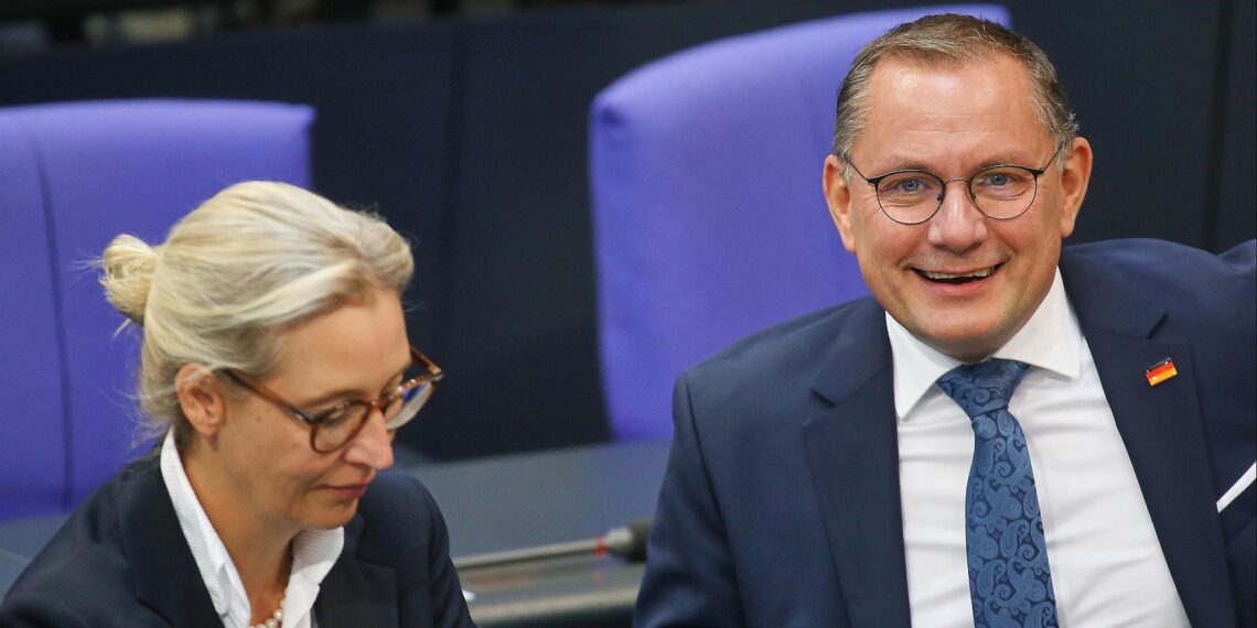 Alice Weidel und Tino Chrupalla (Archiv)