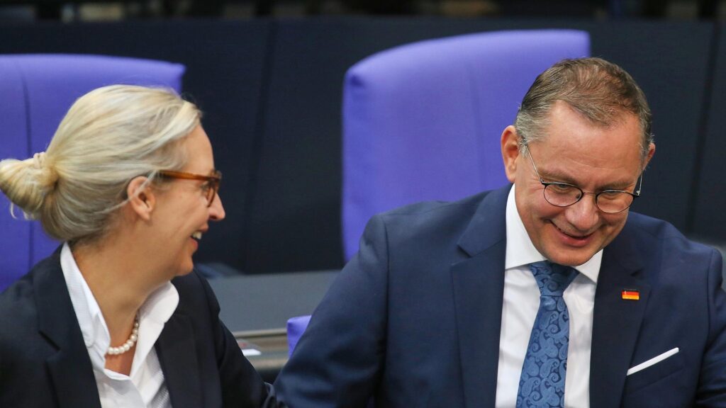 Alice Weidel und Tino Chrupalla (Archiv)