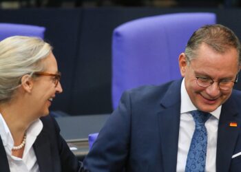Alice Weidel und Tino Chrupalla (Archiv)