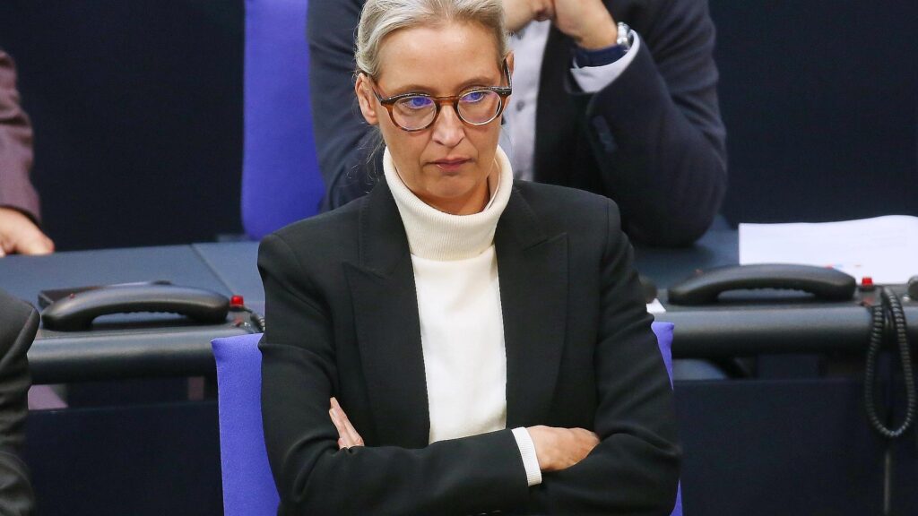 Alice Weidel (Archiv)