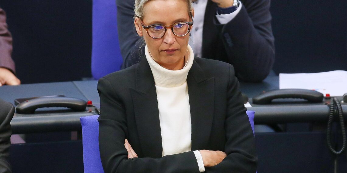 Alice Weidel (Archiv)