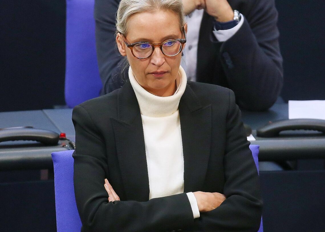 Alice Weidel (Archiv)