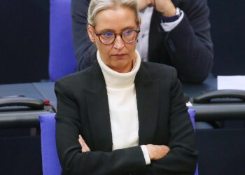Alice Weidel (Archiv)