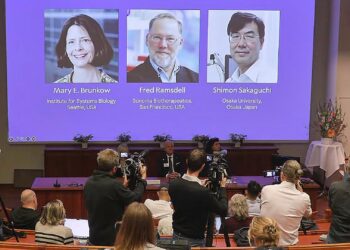 Bekanntgabe von Medizin-Nobelpreis am 06.10.2025