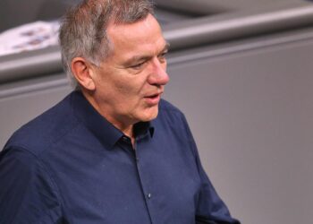 Jan van Aken (Archiv)