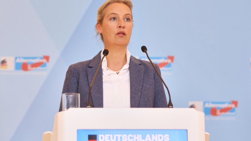 Alice Weidel am 14.10.2025