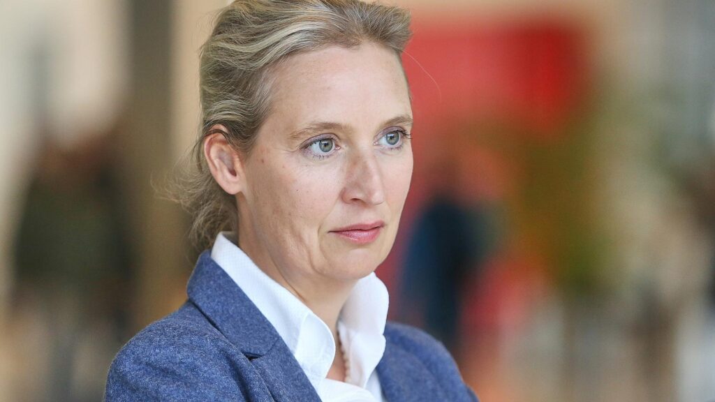 Alice Weidel (Archiv)