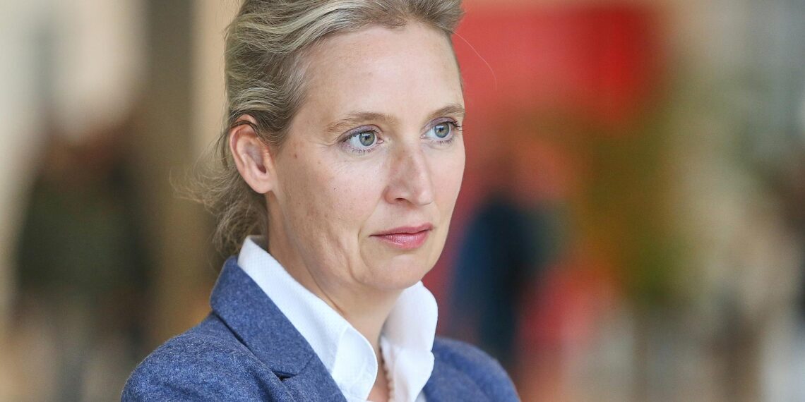 Alice Weidel (Archiv)
