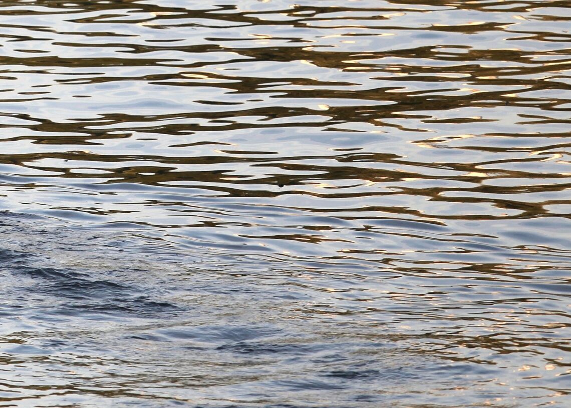 Wasser (Archiv)