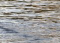 Wasser (Archiv)