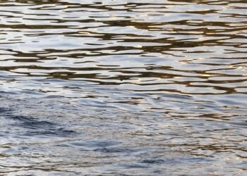 Wasser (Archiv)