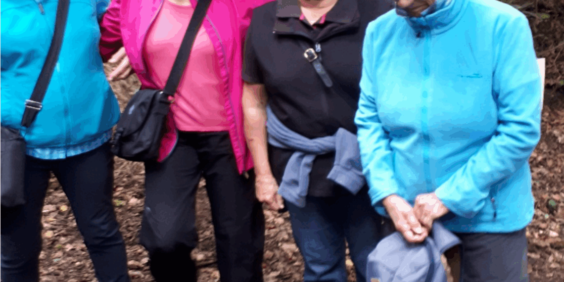 Gruppe der Wanderfreunde Hasborn- Dautweiler | Bild: DJK Bildstock