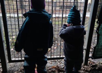 Kinder hinter einem Gitter (Archiv)