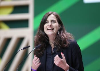 EU-Omnibus: Grüne fürchten "intransparente Datenpraktiken" 4 Alexandra Geese (Archiv)