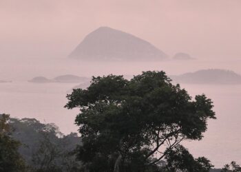 Deutschland stellt eine Milliarde für Tropenfonds bereit 2 Cagarras-Inseln (Archiv)