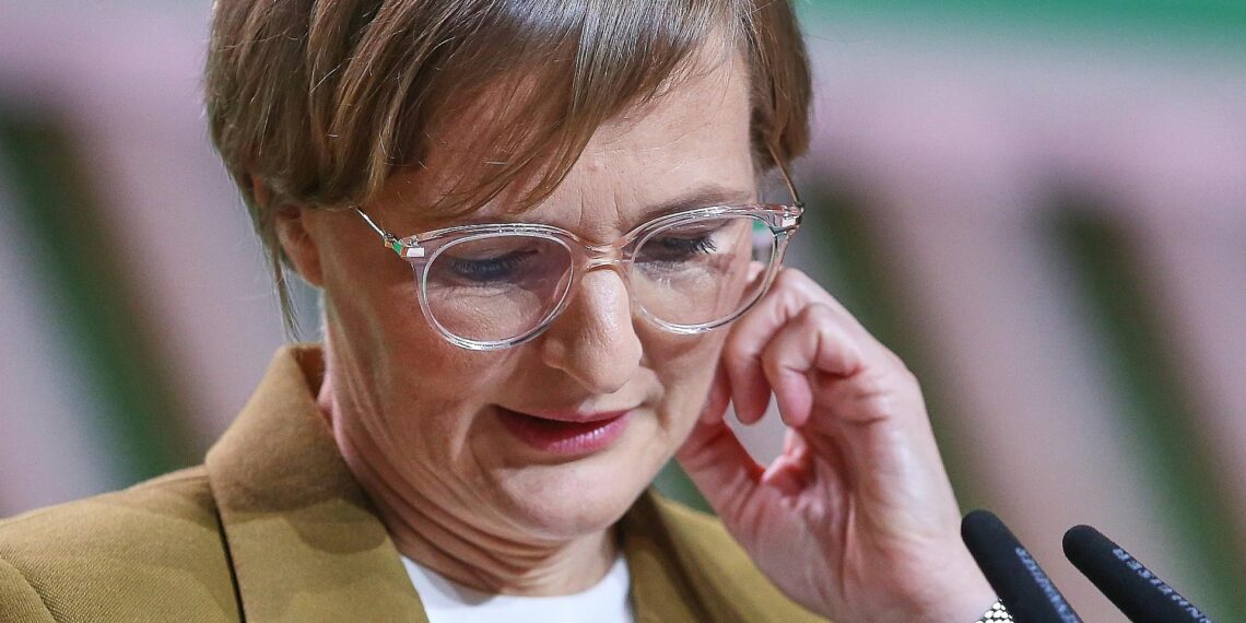 Franziska Brantner (Archiv)