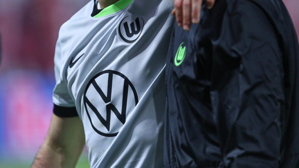 Spieler des VfL Wolfsburg (Archiv)