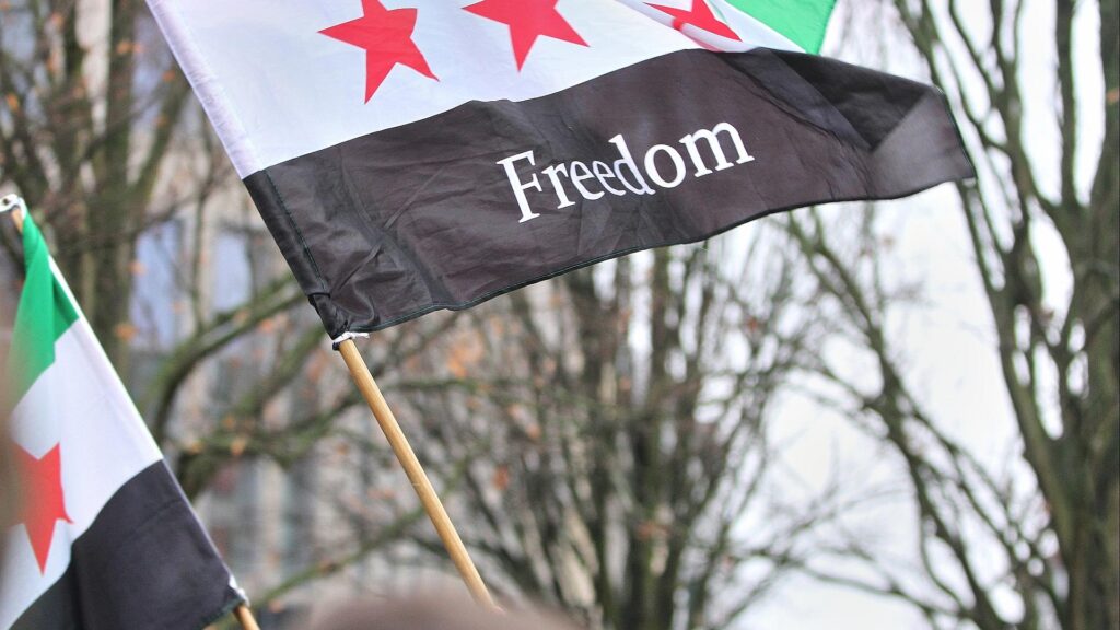 Syrer in Deutschland feiern den Sturz von Assad in Syrien (Archiv)