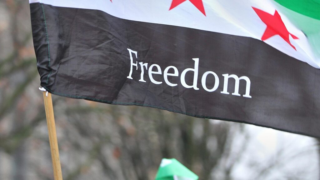 Syrer in Deutschland feiern den Sturz von Assad in Syrien (Archiv)