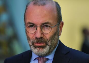 Manfred Weber (Archiv)