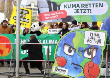 Demonstranten protestieren für Klimaschutz (Archiv)