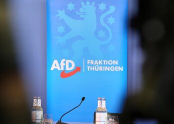 AfD-Fraktion im Thüringer Landtag (Archiv)