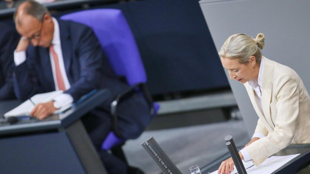 Friedrich Merz und Alice Weidel (AfD) (Archiv)