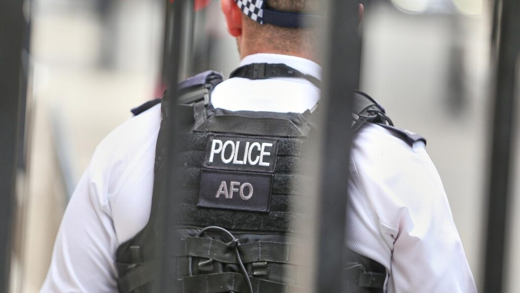 Britischer Polizist (Archiv)