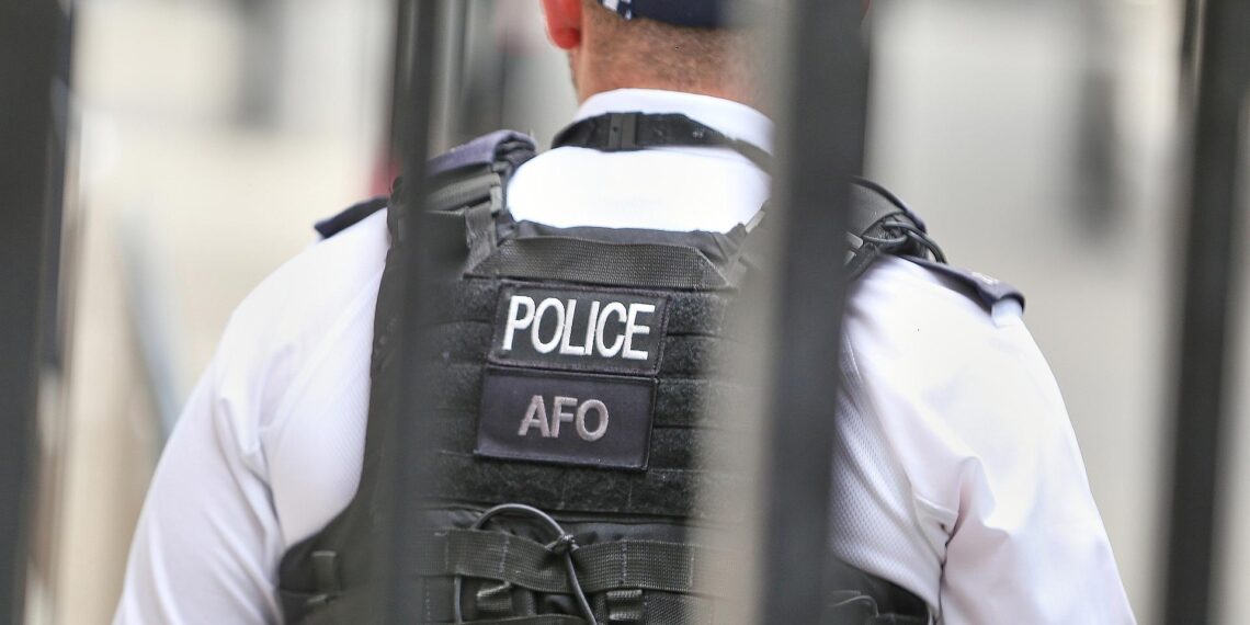 Britischer Polizist (Archiv)