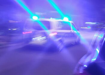 Polizeiauto (Archiv)