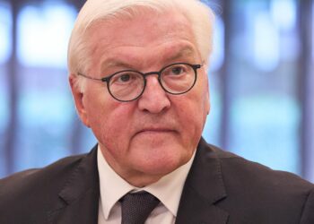 Steinmeier fordert aktiven Widerstand gegen Extremismus 2 Frank Walter Steinmeier (Archiv)